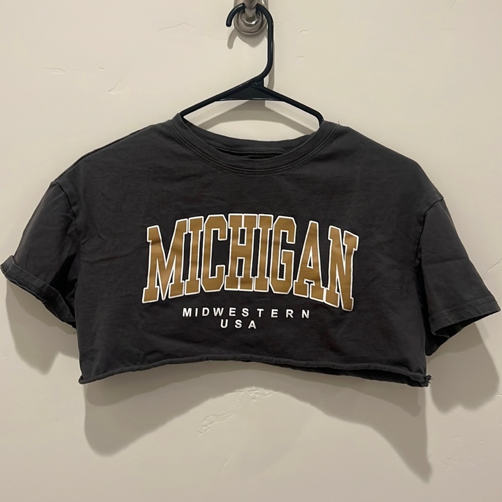 Michigan Gray Croptop